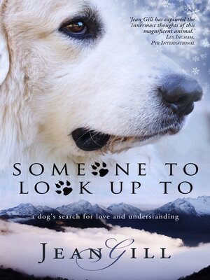 cover image of Someone to Look Up To
